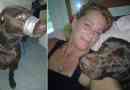 Katie brown `reconnu coupable, condamné pour abus animal pour gaine taping museau de chien