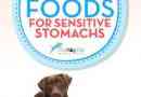 15 meilleurs aliments pour chiens sensibles à l`estomac pour les maux d`estomac
