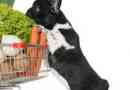 6 Essential chien supermarché fournit tous les nouveaux propriétaires d`animaux ont besoin