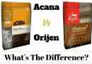 Acana vs orijen - quelle est la différence? Quel est le meilleur et pourquoi?