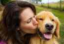 Les gens peuvent avoir des vers de ténias Dogs-, ascaris, ankylostomes et heartworms