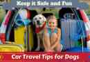 conseils de voyage de voiture pour vous et votre chien - pour rester en sécurité et en profiter
