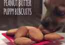 beurre d`arachide Diy biscuits chiot qui feront de votre chien vous aime encore plus