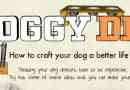Doggy diy: fabriquer une vie meilleure pour votre chien avec ces projets amusants et faciles