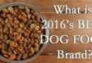 Comment savoir quelle est la plus saine nourriture pour chien?