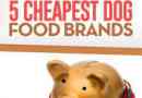 Top 5: nourriture pour chien meilleur bon marché qui est bon rapport qualité-prix